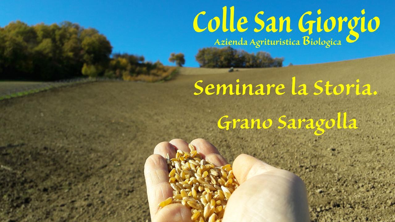 Azienda Agrituristica Colle San Giorgio Castiglione Messer Raimondo Exterior foto